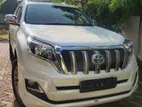 Rent a Car - Prado Tx