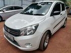 Rent A Car-Suzuki Celario
