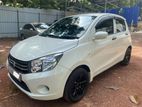 Rent a car- Suzuki Celario