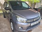 Rent A Car Suzuki Celerio