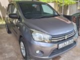 Rent A Car Suzuki Celerio