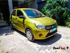 Rent a Car- Suzuki Celerio