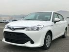 Rent a Car Toyota Axio 2015