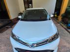 Rent a car - Toyota Axio 2025
