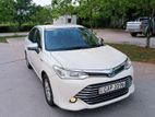 Rent a car - Toyota Axio