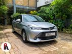 rent a car - Toyota Axio