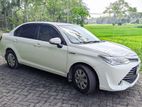 Rent a Car Toyota Axio