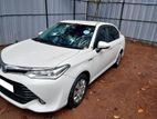 Rent a car-Toyota Axio hybrid car