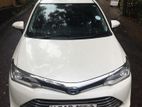 Rent A Car - Toyota Axio Hybrid