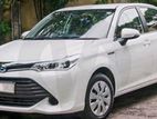 Rent a car Toyota Axio Hybrid