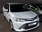 Rent A Car TOYOTA AXIO (HYBRID)