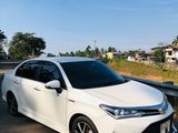 Rent a Car Toyota Axio Hybrid WXB