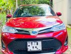 Rent a Car Toyota Axio Wxb