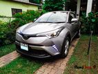 Rent a Car - Toyota C-HR 2017