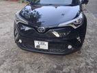 Rent a Car Toyota C-HR