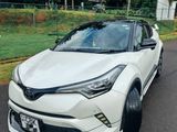 Rent a Car Toyota CHR