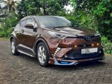 Rent a Car Toyota CHR
