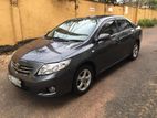 Rent a car - Toyota Corolla 141