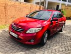 Rent a car || Toyota Corolla 141 .