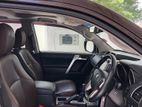 Rent a car - Toyota Prado TX 150 Brown