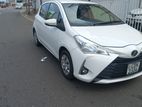 Rent a Car - Toyota Vitz