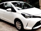 Rent a car - Toyota Vitz