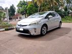 Rent for Toyota Hybrid Prius Car