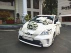 Rent Wedding Car Prius