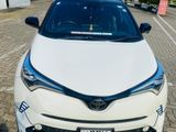 Renta car Toyota CHR