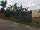RENTAL – LAND FOR COMMERCIAL USE PALLIDORA ROAD, DEHIWALA