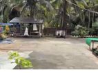 Beautiful Luxury house for rent - Chavakacheri