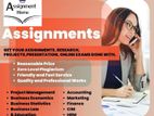 Research / Assignment Assistance Service