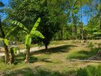 Land For Sale Makola