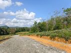Residence Land For Sale in Eheliyagoda