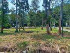 Residence Land for Sale in Matale Nalanda