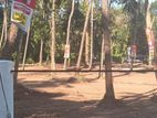 Residence Land For Sales in Mathale Nalanda