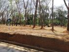 Residencial Land For Sale In Homagama