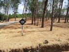 Residencial land for sale in Homagama