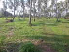 Residencial Land for Sale in Pellandeniya