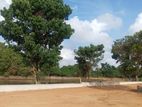 Residencial Land for Sale in Rajagiriya