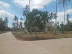 Residencial Lands for Sale in Wariyapola