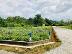 Resident Land for Sale in Eheliygoda