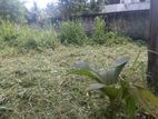 Residental Land close to Katubedda, Galle Road