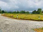 Residental Land for Sale in Eheliyagoda Town