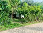 Residental Land For Sale Polonnaruwa