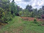 Residential 11 Perches of Land for Sale at Ruppagoda rd, Kadawatha.