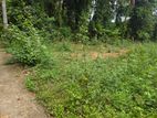 Residential 12.35P Land for Sale 500M to Thewaththa Junction, Ragama