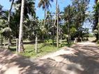 Residential 20 P Land Blocks for Sale in Weliveriya