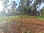 Residential 20 Perches Land Blocks for Sale in Ihala Yagoda, Gampaha.