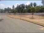 Residential 21P Land for Sale Wadduwa